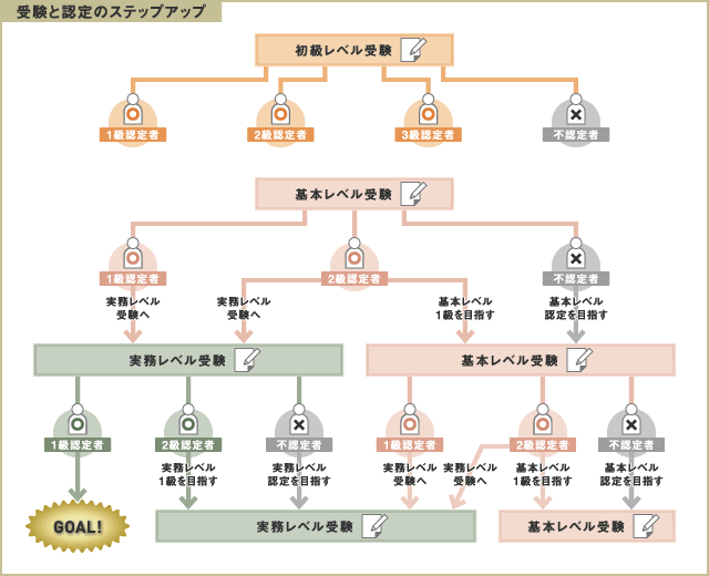 受験と認定のステップアップ